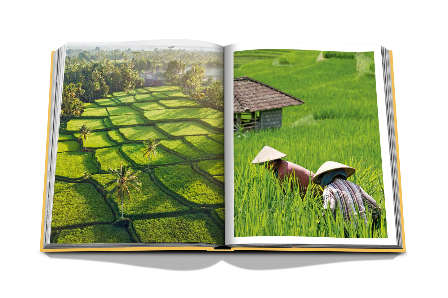 Bildband Bali Mystique I ASSOULINE