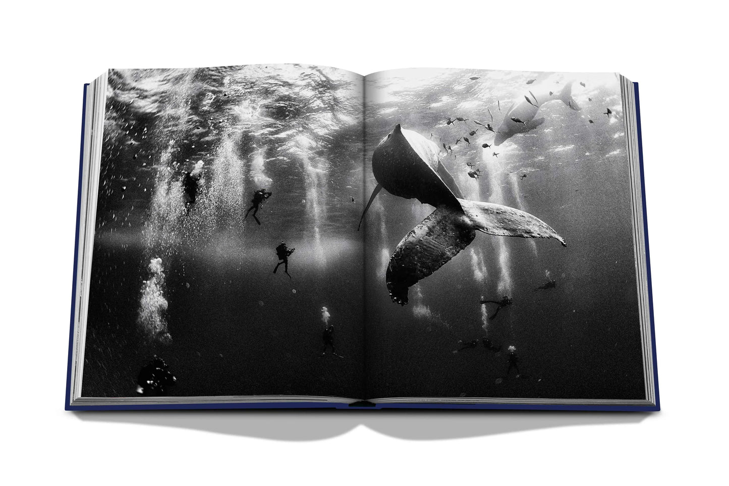 Bildband Ocean Wanderlust I ASSOULINE
