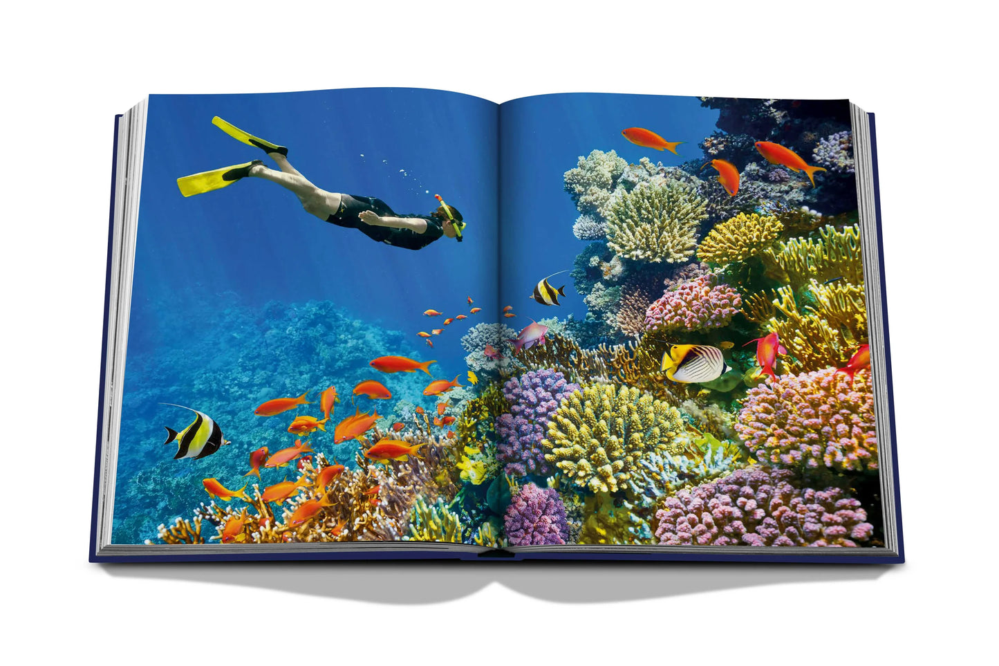 Bildband Ocean Wanderlust I ASSOULINE