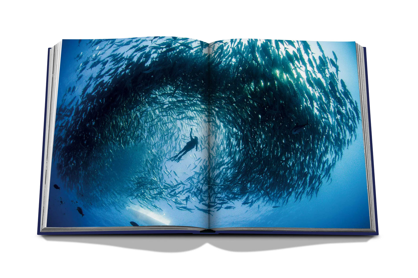 Bildband Ocean Wanderlust I ASSOULINE