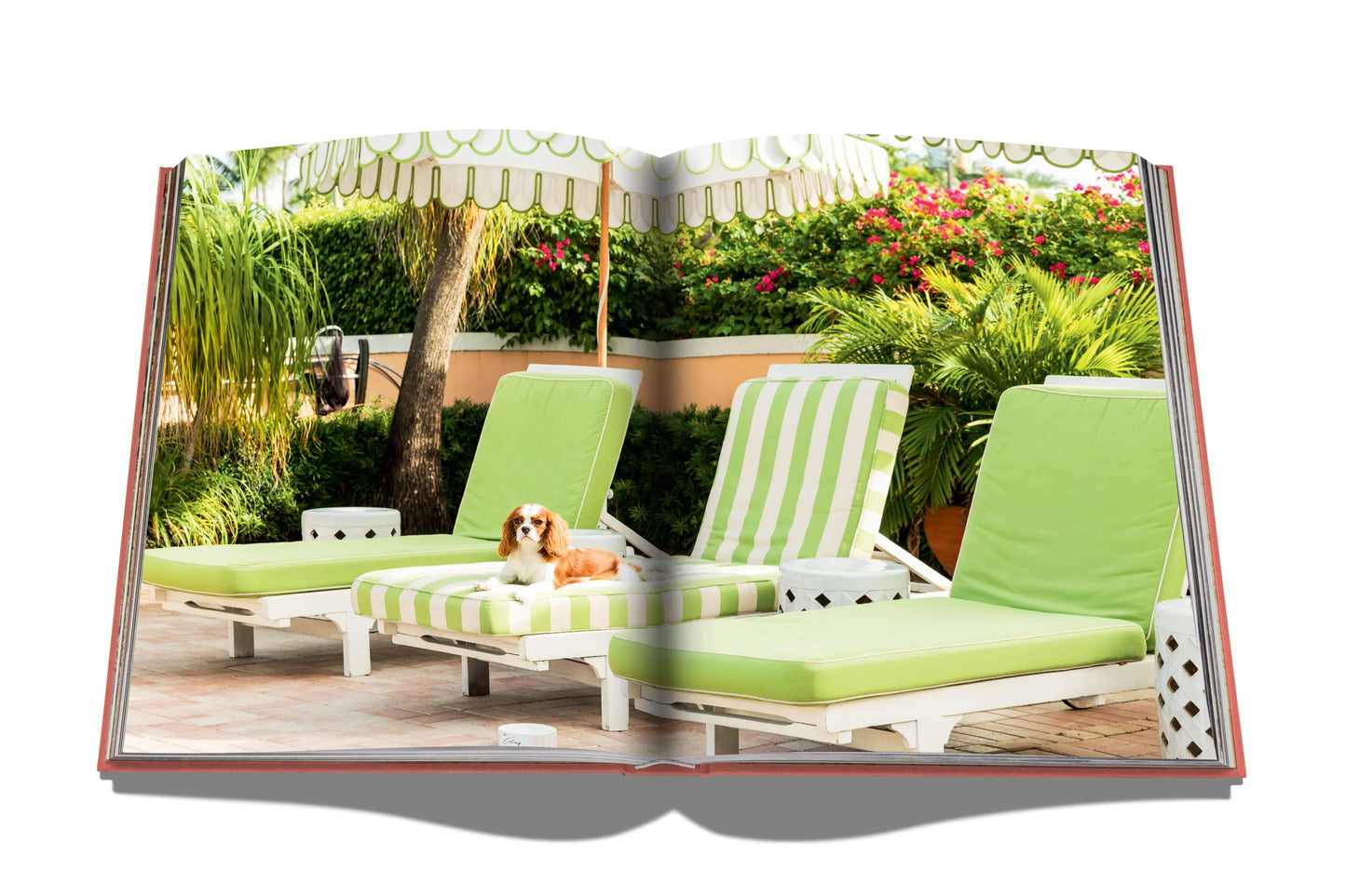 Bildband Palm Beach I ASSOULINE