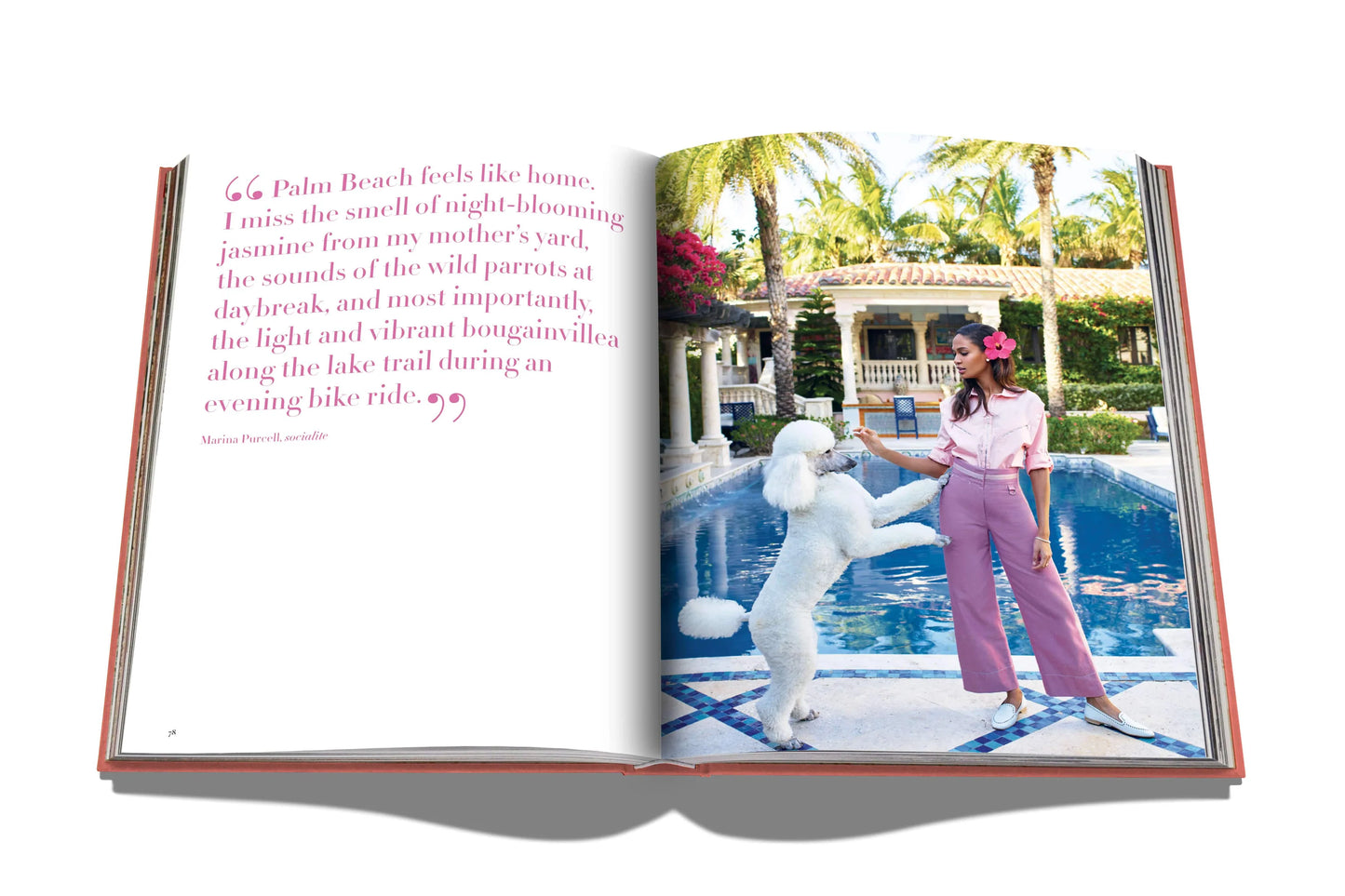 Bildband Palm Beach I ASSOULINE