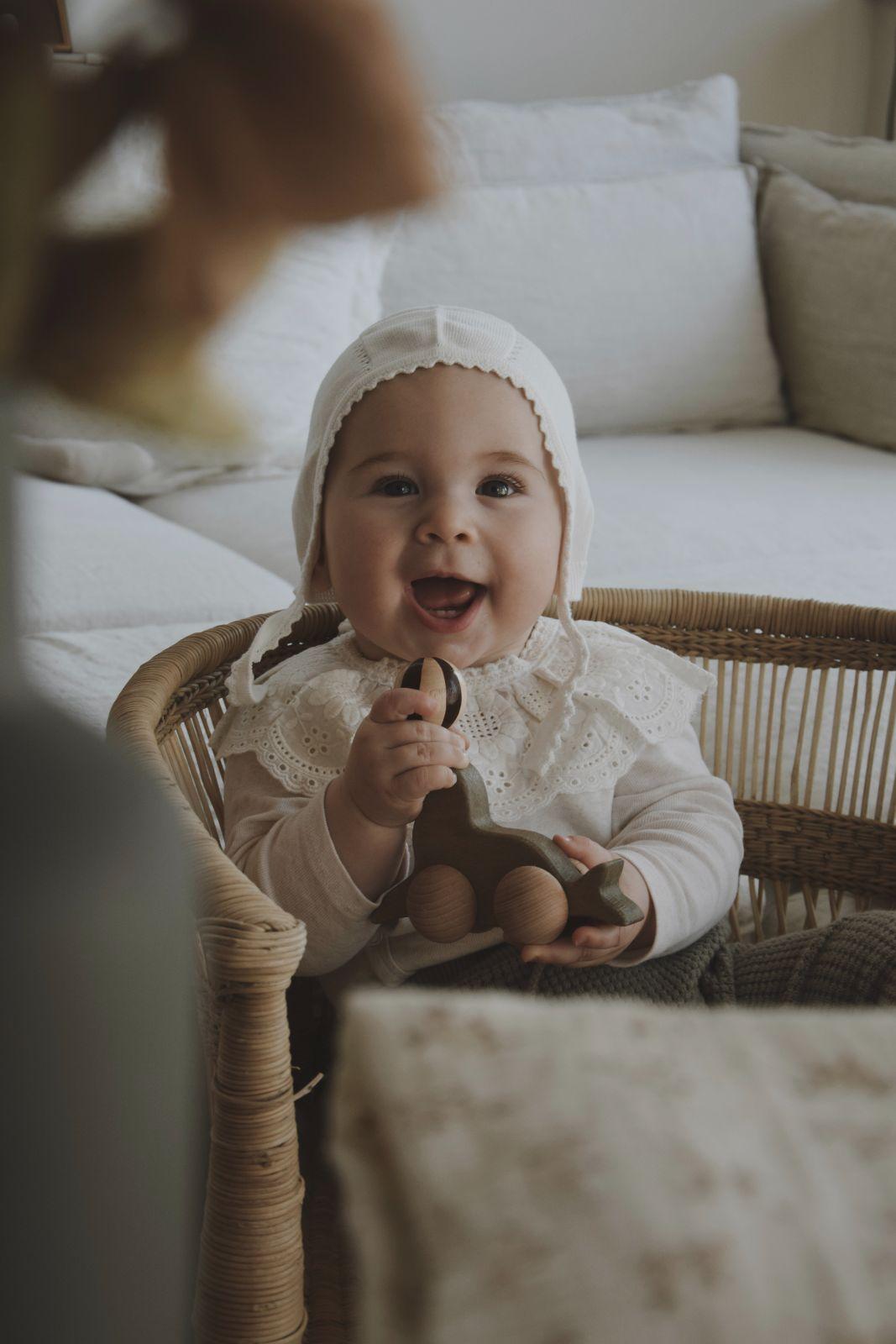 Rollender Seelöwe Holzspielzeug