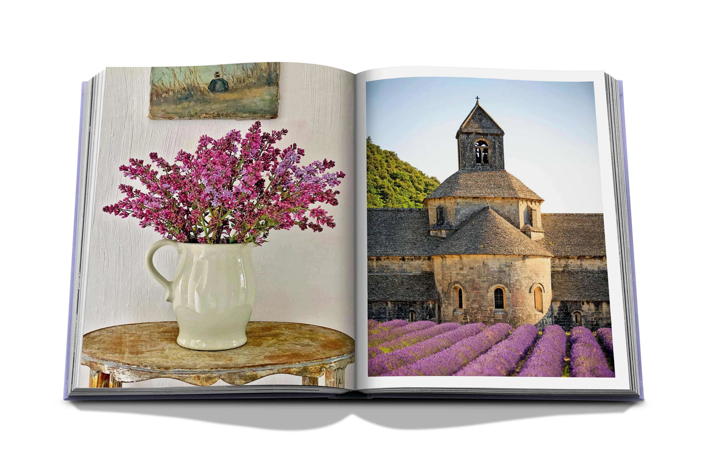 Bildband Provence Glory I ASSOULINE